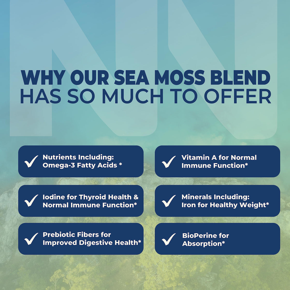 Irish Sea Moss Capsules | With Organic Irish Moss, 300mg Burdock Root & 500mg