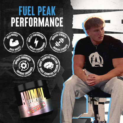 Animal Creatine Monohydrate Chews for Men & Women | Fruit Punch 120 Count