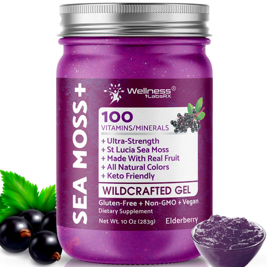 WELLNESS LABSRX Irish Sea Moss Gel Raw - Wildcrafted Superfood Seamoss Gel - Pineapple Mango Flavor, Vitamin and Mineral-Rich from Pristine Caribbean Waters - 10 oz.