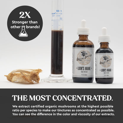 Hodgins Harvest Organic Lion's Mane Fruiting Body Extract Tincture - Mushroom Supplement for Brain Health and Mental Focus - Dual Extract Formula - Extra Concentrated - 4 fl oz Bottle