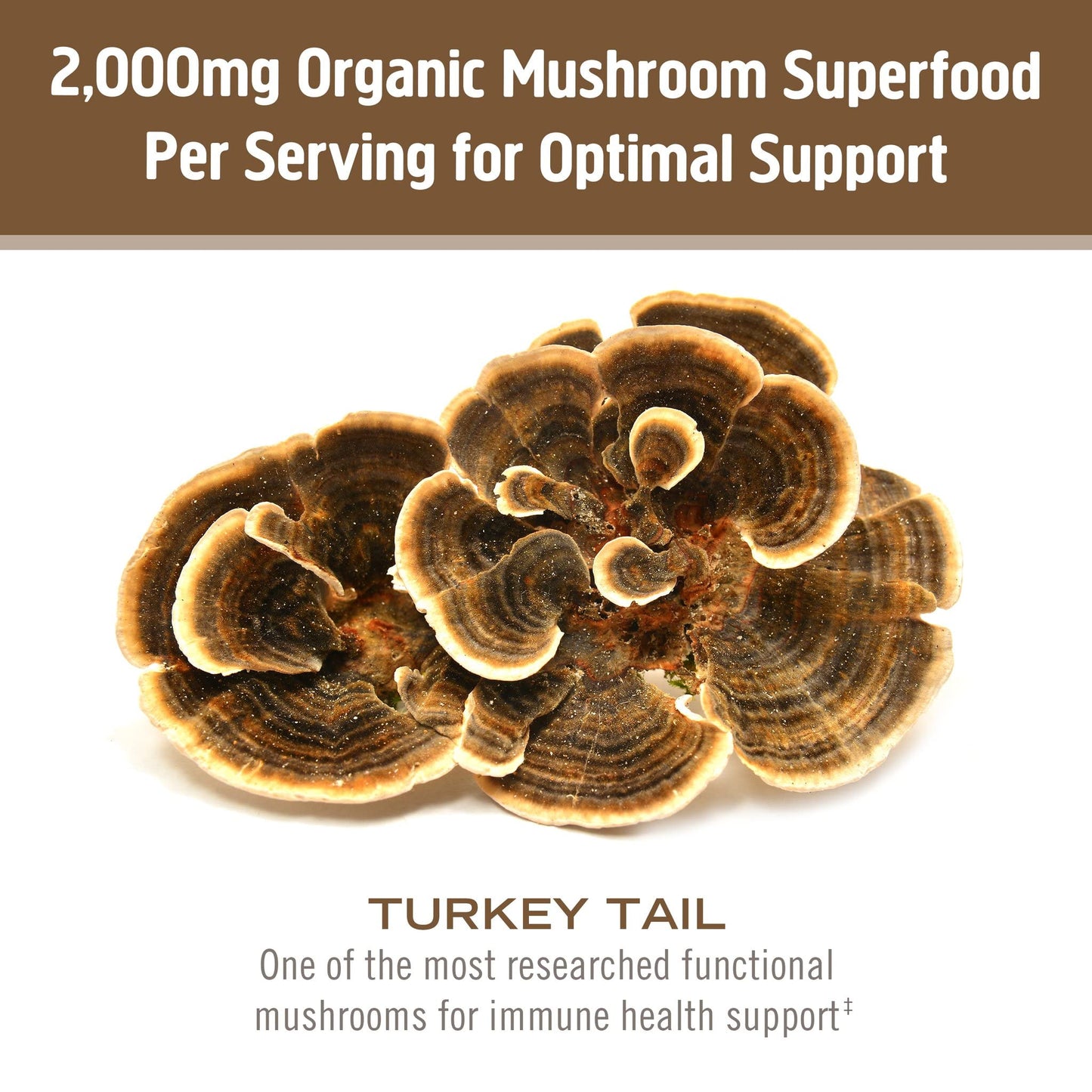 OM MUSHROOM SUPERFOOD Turkey Tail Organic Mushroom Powder Pouch, 7.05 Ounce, 100 Servings, Immune Support, Polysacchrides, Beta-Glucans, Gut Health & Holistic Defense Mushroom Supplement
