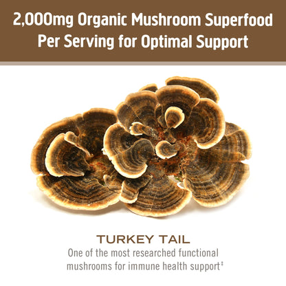 OM MUSHROOM SUPERFOOD Turkey Tail Organic Mushroom Powder Pouch, 7.05 Ounce, 100 Servings, Immune Support, Polysacchrides, Beta-Glucans, Gut Health & Holistic Defense Mushroom Supplement