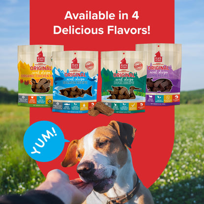 Plato Real Strips Salmon Recipe Dog Treats, Air-Dried High-Protein Soft Strips, Omega-Rich Skin & Coat Support, 18 oz