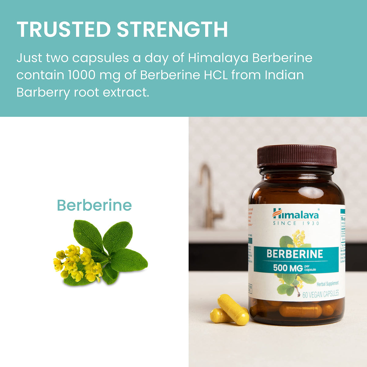 Himalaya Berberine Supplement, Berberine HCL 1000 mg per Serving, Herbal Supplement for Supporting Normal Metabolism, Immune, and Digestive Health - Vegan, Gluten Free, 60 Vegetarian Capsules
