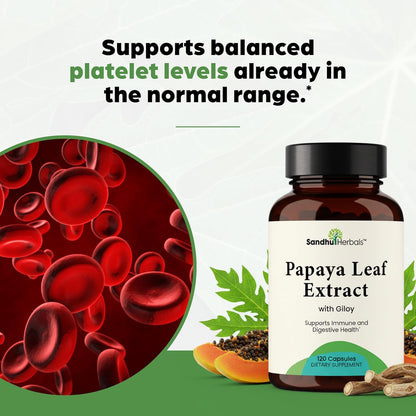 Zinc 30mg with Copper, Selenium & Vitamin D3 Bundle with Papaya Leaf Extract (120 Capsules Each) | Supports Immune Health