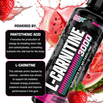 Nutrex Research L Carnitine 3000 - Clinically Dosed L-Carnitine Liquid for Energy, Metabolism & Muscle Recovery - Delicious Strawberry Watermelon - No Sugar, No Carbs, No Stimulants - 31 Servings
