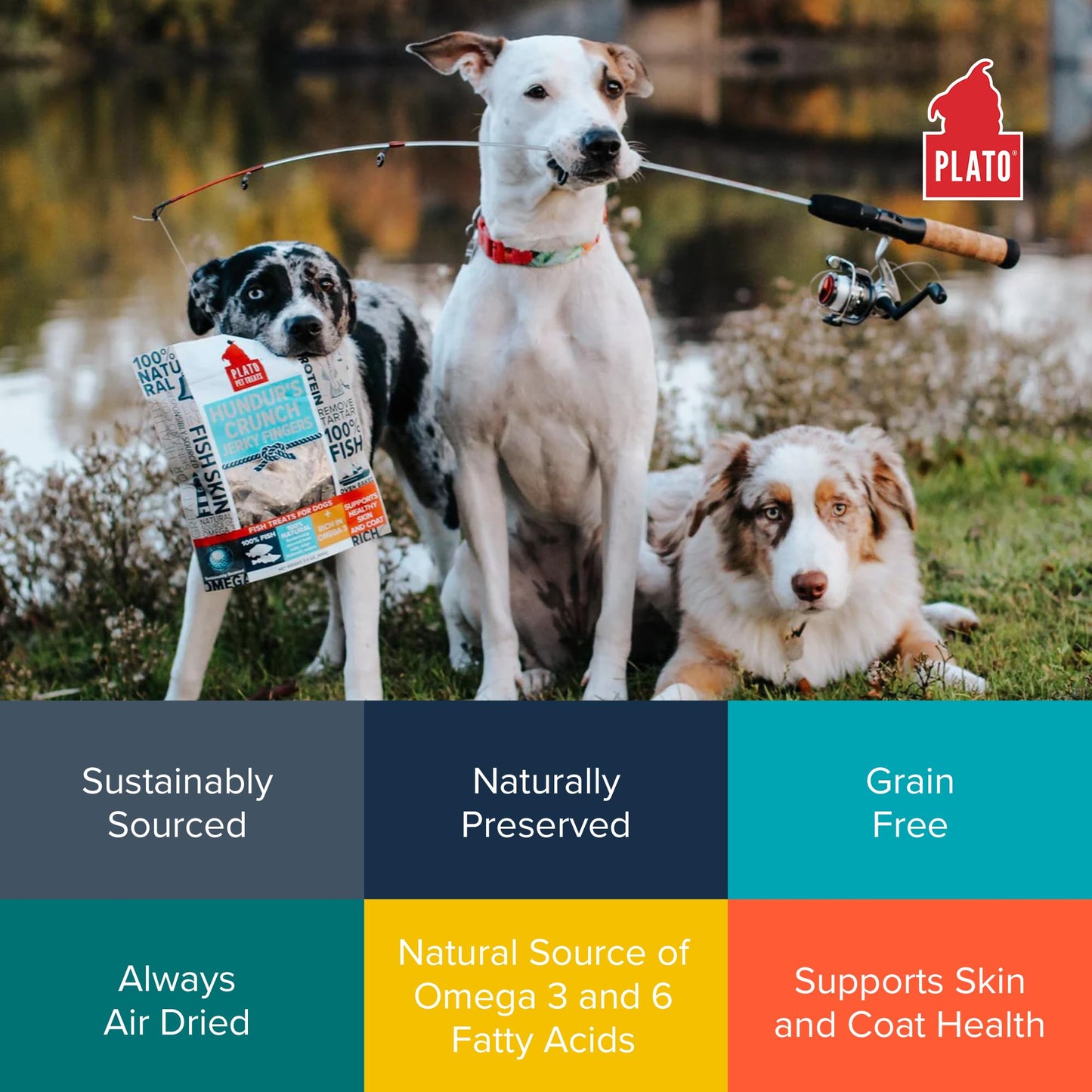 Plato Single Ingredient Wild-Caught Cod Skin Bites Dog Treats, Air-Dried Omega-Rich Skin & Coat Support, 10 oz