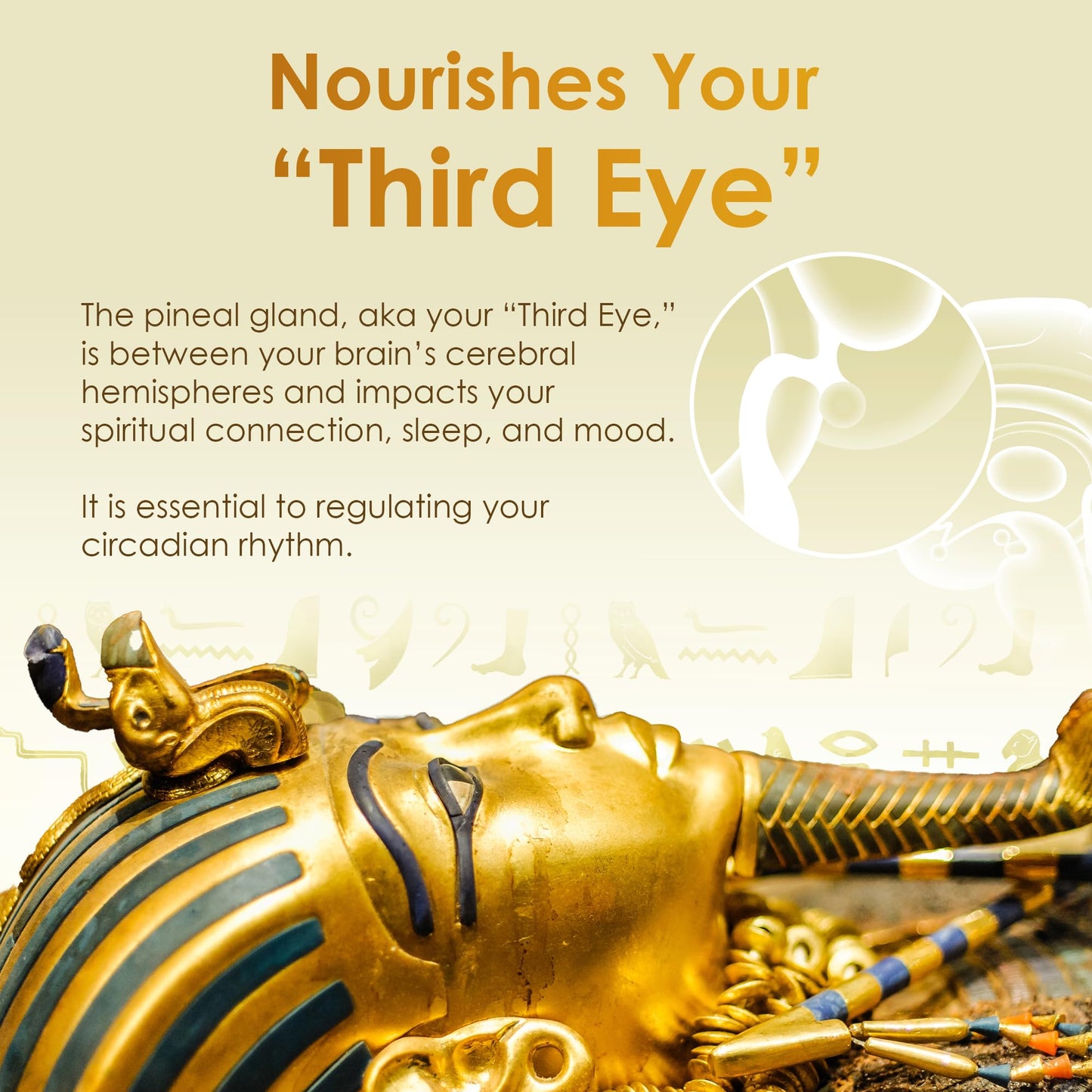 Pharaoh's Nectar XT 24K Monoatomic Gold Ormus Liquid | Third Eye Awakening + Vivid Dreaming, Clean Energy + Mental Clarity, Spiritual Supplement, 60mL