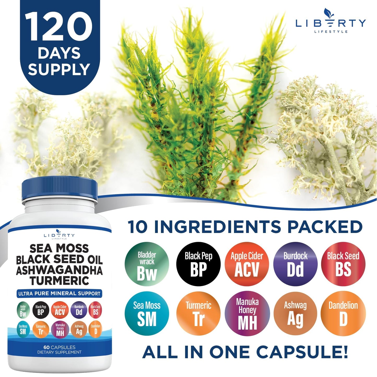 Liberty Lifestyle Sea Moss Black Seed Oil Ashwagandha Turmeric Bladderwrack Burdock - with Manuka, Honey Dandelion, ACV Black Pepper Gluten Free - 2-Pack