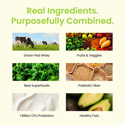 TrueFit Grass-Fed Whey Protein Powder + Fiber & Probiotics, Vanilla Shake | 25g Gut Healthy Protein with Fiber, Probiotics & Non-GMO Superfoods for Complete Meal Replacement Shake with Nothing Fake