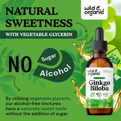 Wild & Organic Ginkgo Biloba Extract Drops - Brain & Focus Support - Liquid Ginkgo Biloba Supplements - Vegan, Sugar & Alcohol-Free Herbal Tincture - 4 fl oz
