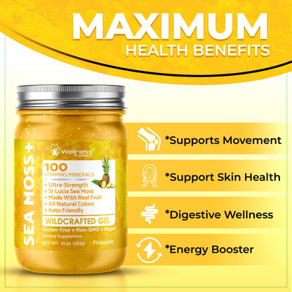 WELLNESS LABSRX Irish Sea Moss Gel Raw - Wildcrafted Superfood Seamoss Gel - Pineapple Mango Flavor, Vitamin and Mineral-Rich from Pristine Caribbean Waters - 10 oz.