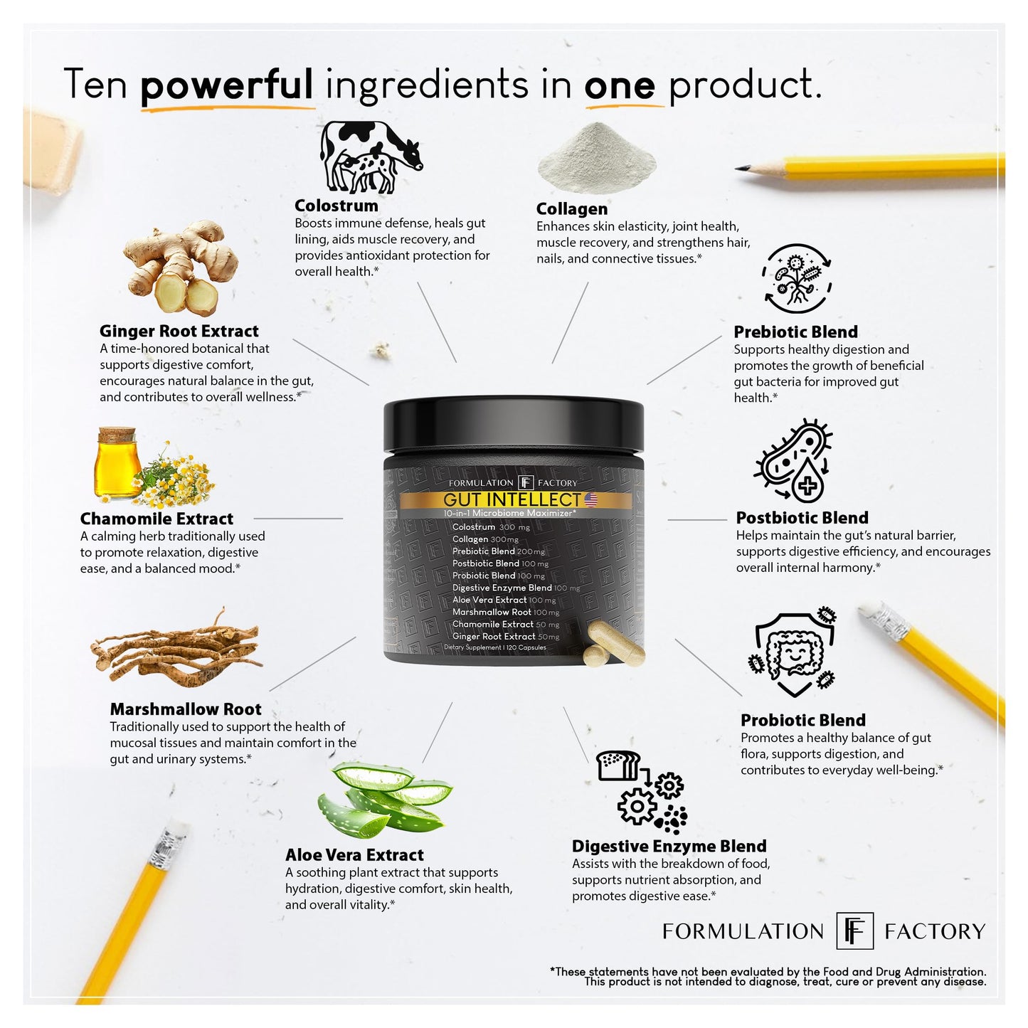 Formulation Factory Probiotics for Women & Men - Gut Intellect 10-in-1 Digestive Enzymes with Prebiotics and Postbiotics - Total Gut Health Supplement - 120 Capsules, 2 Month Supply