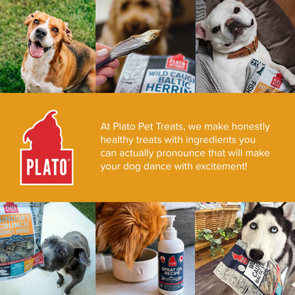 Plato Single Ingredient Wild-Caught Cod Skin Bites Dog Treats, Air-Dried Omega-Rich Skin & Coat Support, 10 oz