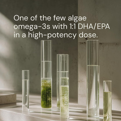 Blueprint Bryan Johnson Omega-3 - Vegan Algae Omega 3 Supplement with EPA/DHA - 800mg Plant-Based for Brain, Heart & Joint Support - High Absorption Triglyceride Form - 1:1 EPA/DHA