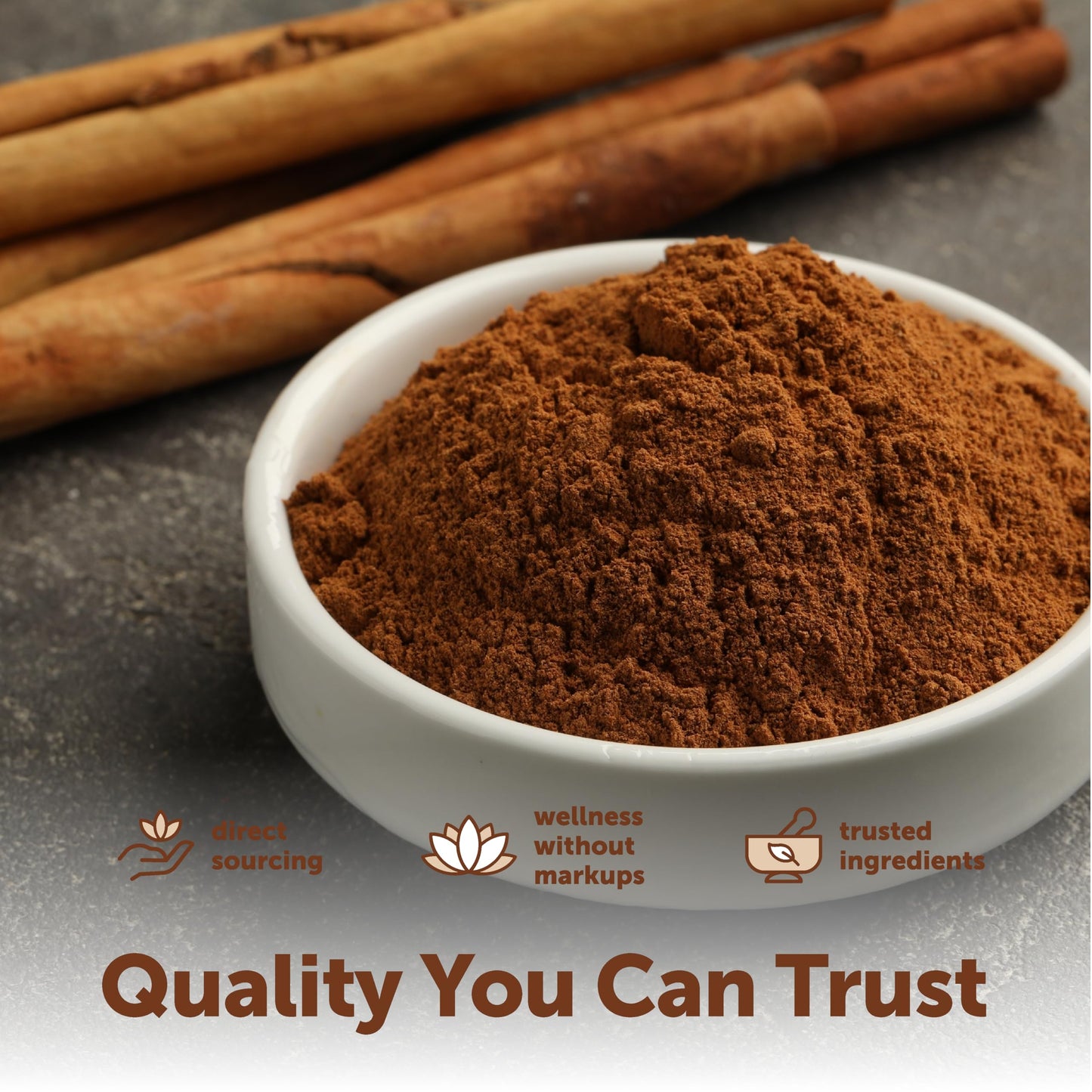 Micro Ingredients Organic Ceylon Cinnamon Powder, 8 oz | Sri Lanka Source | True Cinnamon for Spice & Seasoning | Great for Baking, Cooking, & Drinks | Additive Free, Non-GMO