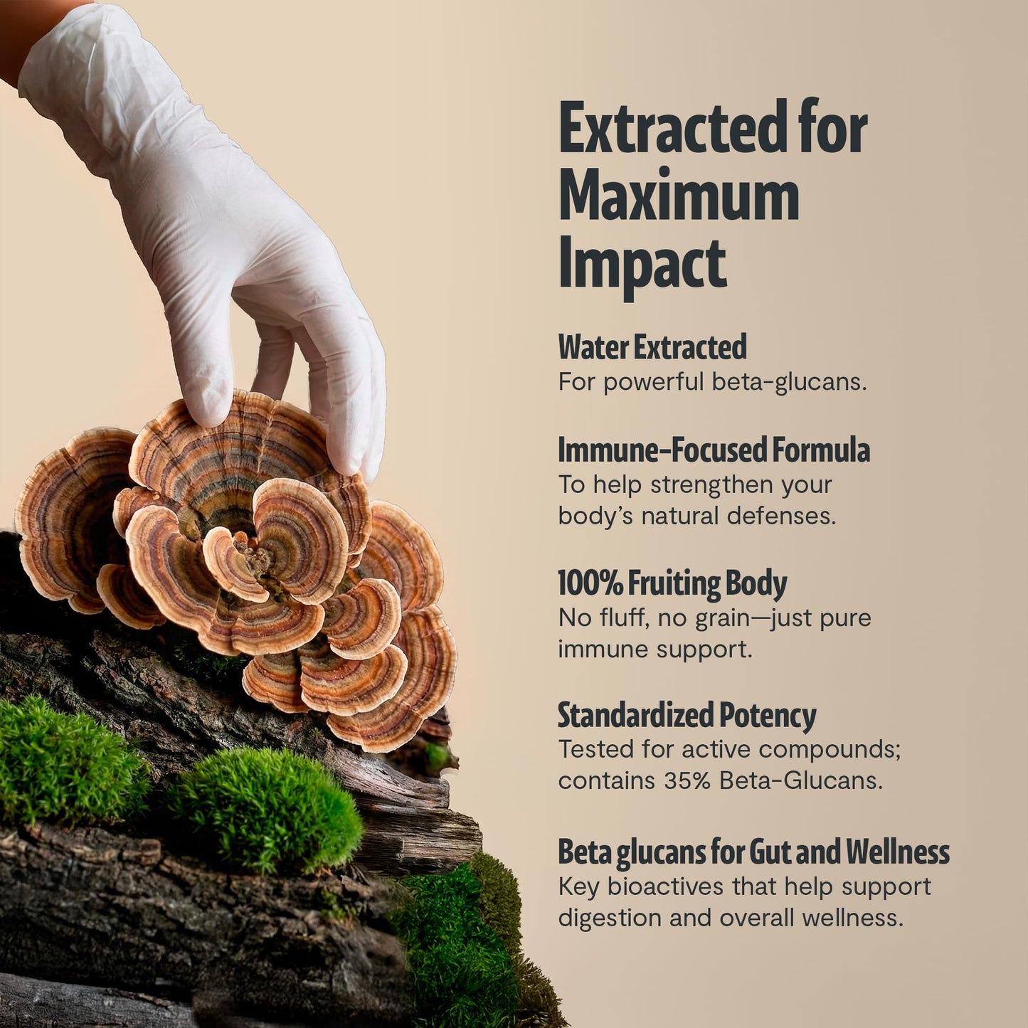 FreshCap Mushrooms Premium Organic Lions Mane Capsules - 14:1 Fruiting Body Extract with 31% Beta-Glucans - 3rd-Party Tested Nootropic for Clarity, Focus & Cognitive Support (120 Capsules)