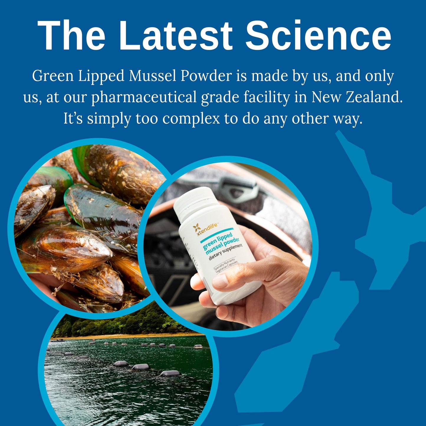 Xtend-Life | Green Lipped Mussel Powder | Extra Strength New Zealand Green Lipped Mussel 2400mg per Serving | for Joint Health & Inflammation Management | 120 Capsules (one Month Supply)
