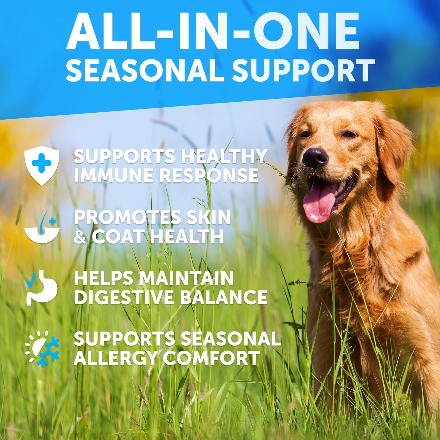 Dog Allergy Relief Chews - Itching Skin Relief for Dogs - Fish Oil - Omega 3 - Seasonal Allergies Pills - Skin & Coat, Anti Itch,Hot Spots Treatment - Canine Immune Health Supplement - 120 Soft Treats