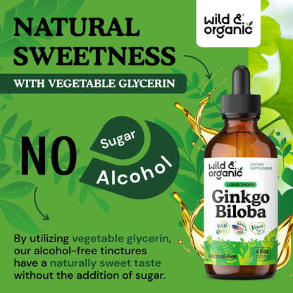 Wild & Organic Ginkgo Biloba Extract Drops - Brain & Focus Support - Liquid Ginkgo Biloba Supplements - Vegan, Sugar & Alcohol-Free Herbal Tincture - 4 fl oz