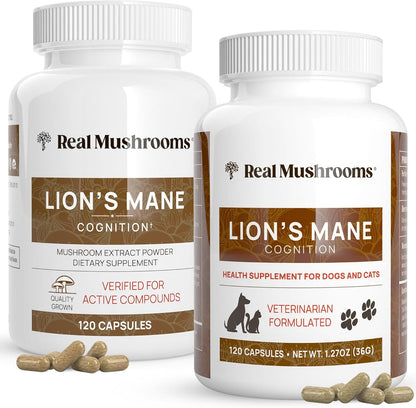 Real Mushrooms Lions Mane for Humans (120ct) and Pets (120ct) - Bundle for Cognition & Immunity - Vegan, Non-GMO, Gluten-Free, Grain-Free Mushroom Extract Supplements