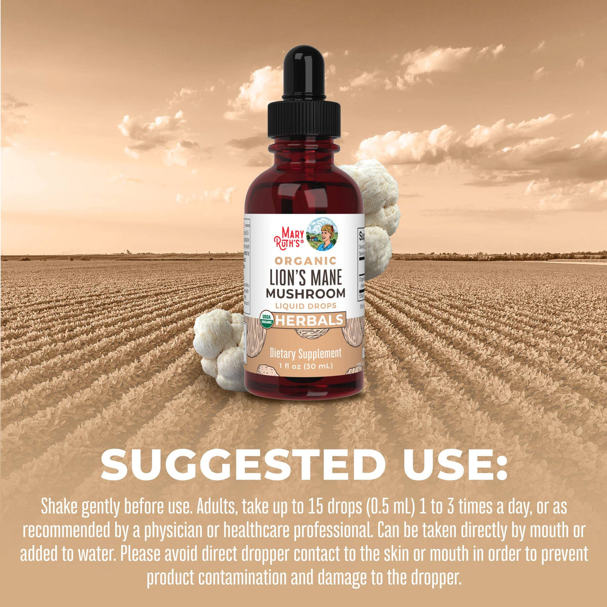 MaryRuth Organics Lions Mane Mushroom Supplement, Up to 2 Month Supply, Nootropic