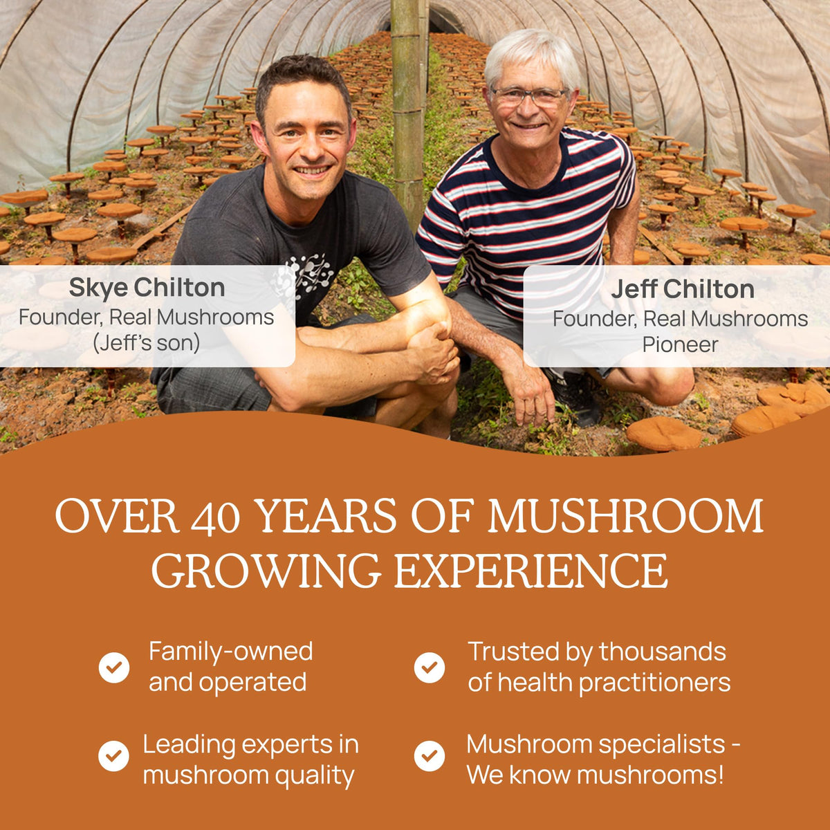 Real Mushrooms Cordyceps Capsules - Performance Mushroom Extract Supplement