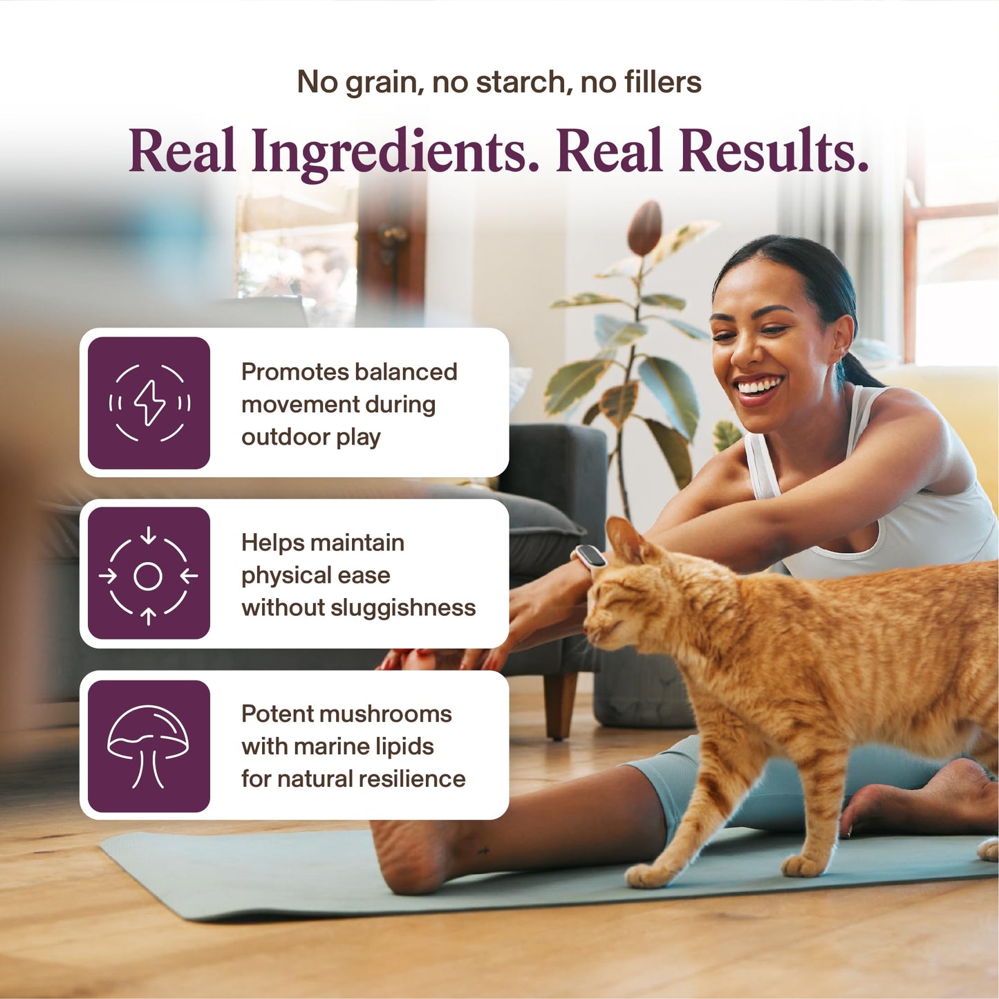 Real Mushroom Immune Pet Chews – For Daily Digestive & Immune Health – Mushrooms for Dogs & Cats Functional Treat – Mushroom Supplement for Dogs & Cats – 1 to 4 Chews For All Breeds & Sizes (60 Count)