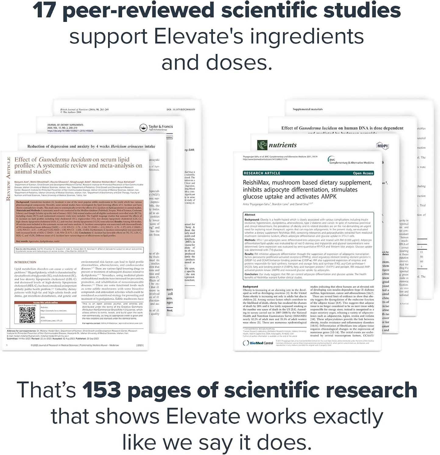 LEGION Elevate Mushroom Supplement Powder - Mushroom Blend of Lions Mane Powder, Reishi Powder & Beta-Glucan- Mushroom Powder to Boost Immune System, Mood & Performance Dutch Chocolate (30 Servings)
