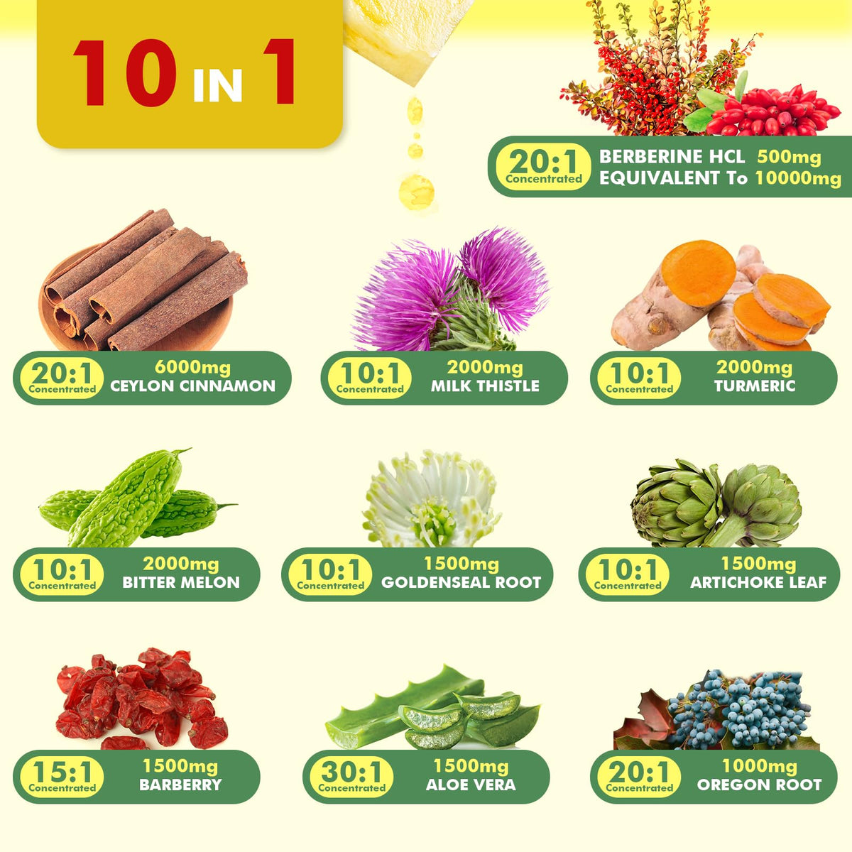 Premium Berberine Supplement - Berberine Liquid Drops with Turmeric, Bitter Melon