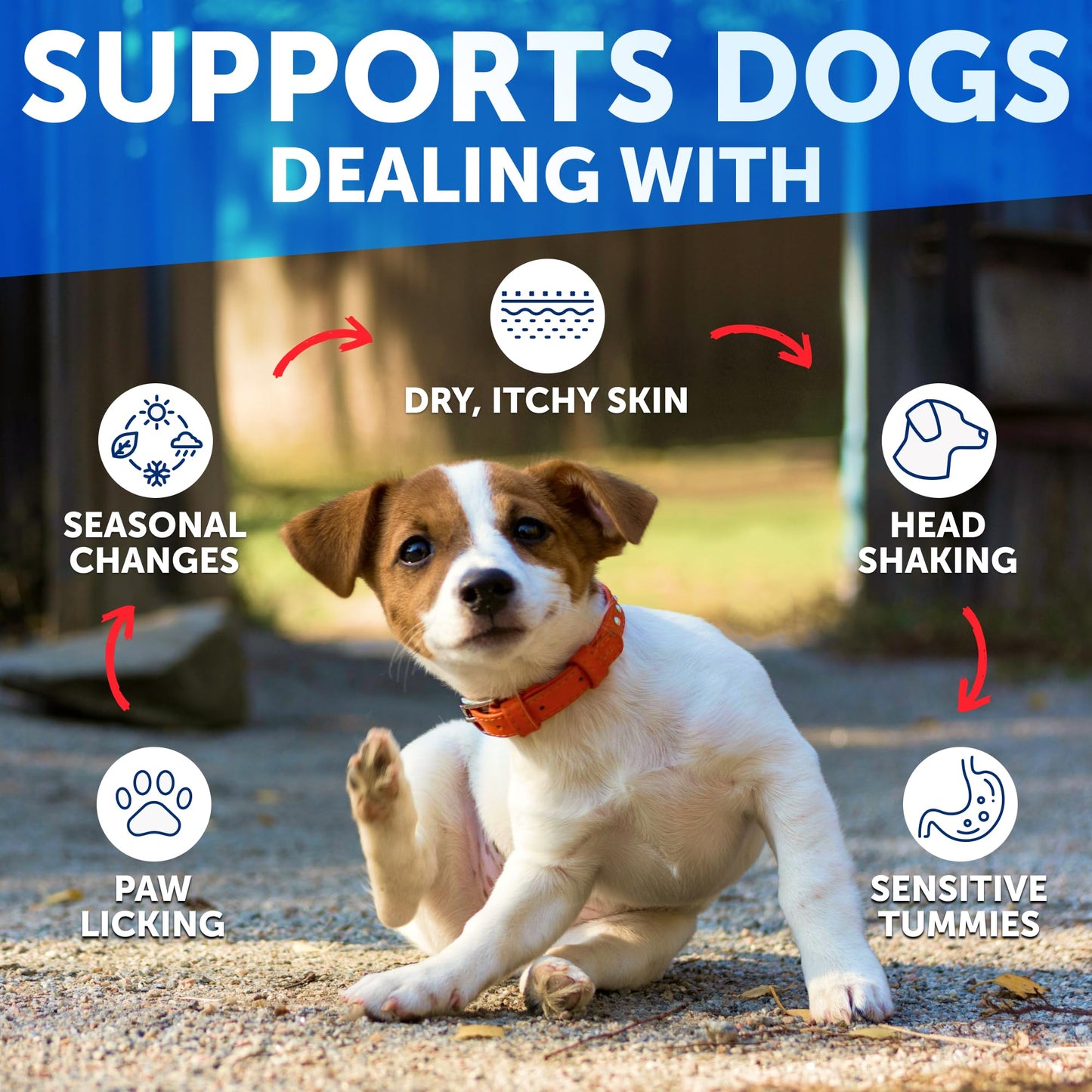 Dog Allergy Relief Chews - Itching Skin Relief for Dogs - Fish Oil - Omega 3 - Seasonal Allergies Pills - Skin & Coat, Anti Itch,Hot Spots Treatment - Canine Immune Health Supplement - 120 Soft Treats