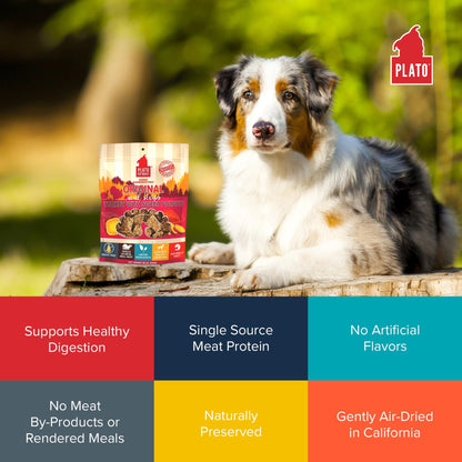 Plato Real Strips Salmon Recipe Dog Treats, Air-Dried High-Protein Soft Strips, Omega-Rich Skin & Coat Support, 18 oz