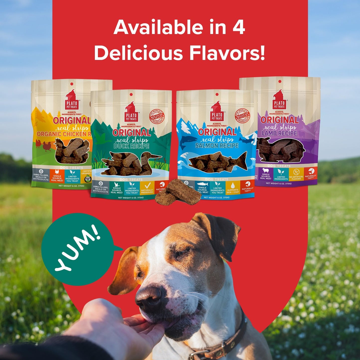 Plato Real Strips Salmon Recipe Dog Treats, Air-Dried High-Protein Soft Strips, Omega-Rich Skin & Coat Support, 18 oz