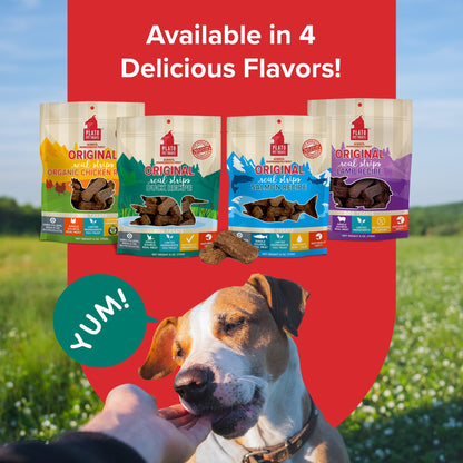 Plato Real Strips Salmon Recipe Dog Treats, Air-Dried High-Protein Soft Strips, Omega-Rich Skin & Coat Support, 18 oz