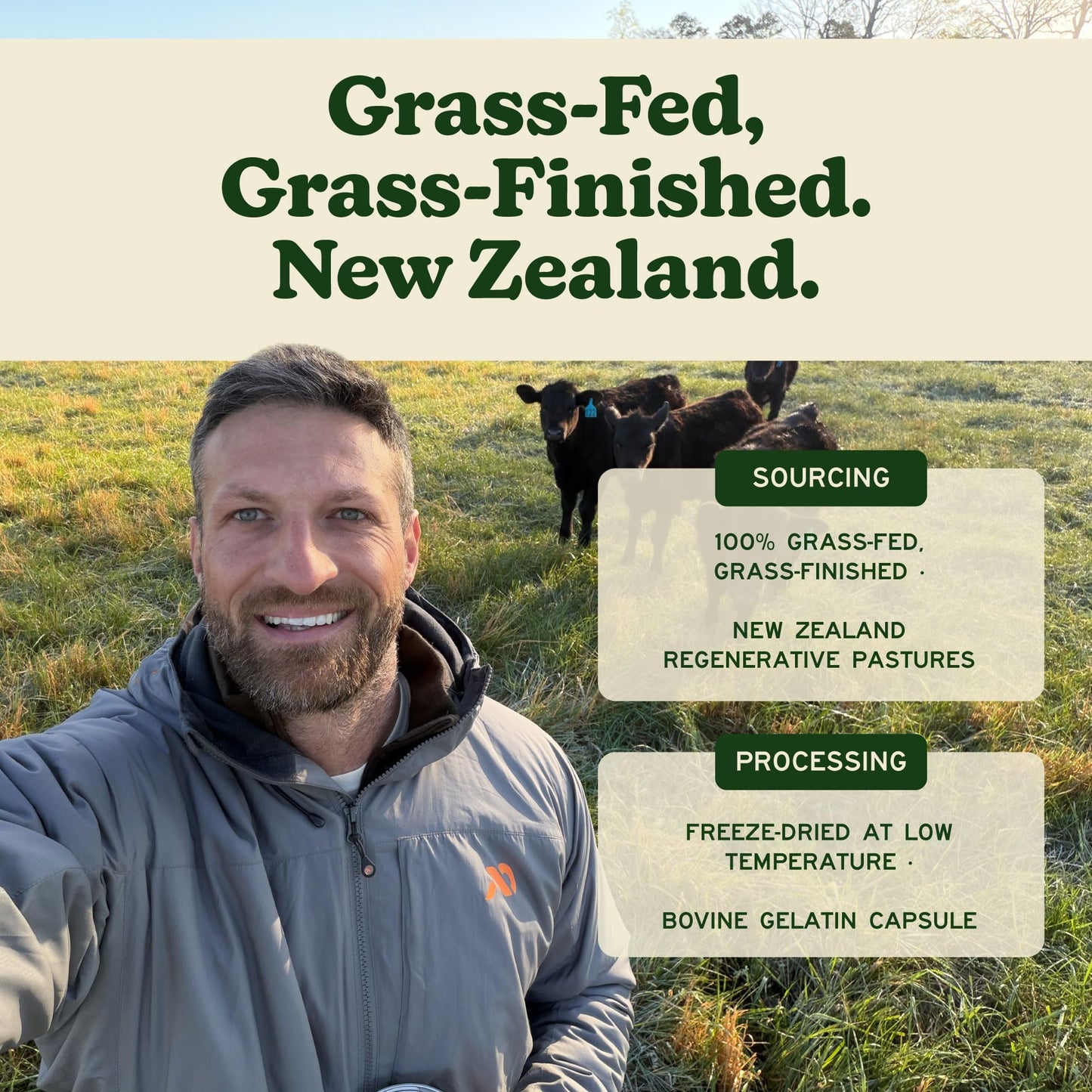 MK Supplements Grass-Fed Desiccated Beef Liver, Non-Defatted, Made in USA | 3,000mg per serving, 150 capsules, 30 servings, freeze-dried, regeneratively raised, amber glass bottle, family owned