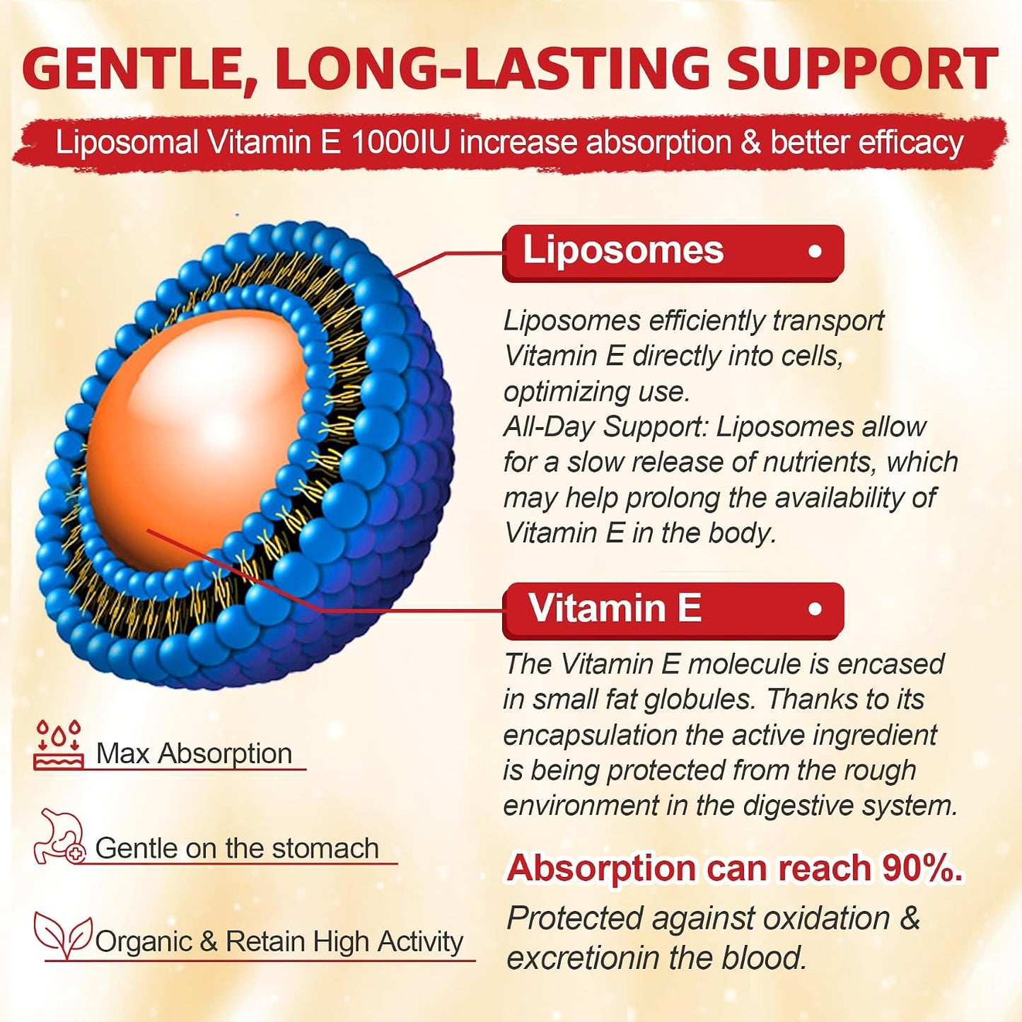 Liposomal Vitamin E Gummies 1000IU - Natural Forms of Vitamin E, with Mixed Tocopherols | 8-in-1 Antioxidant Formula with CoQ10, Omega-3, Vitamin C & Turmeric | for Skin, Eye, Immune & Brain, 1 PACK
