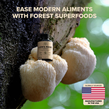 Garden of Herbz Lions Mane Supplement with Turkey Tail – Nootropic Brain Fog, Focus