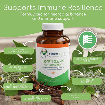 Cryptolepis Concentrate, Immune Support with Cryptolepis Sanguinolenta for Immunity Boost, Concentrated Herbal Supplements, Antioxidant & Health Supplement, 120 Capsules