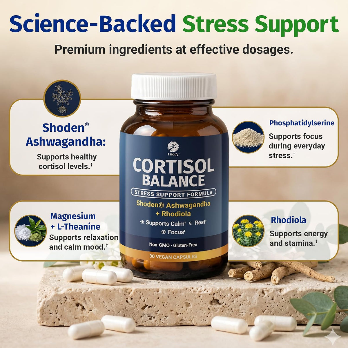 1 Body Cortisol Support with Ashwagandha & Saffron, 30 Vegan Capsules