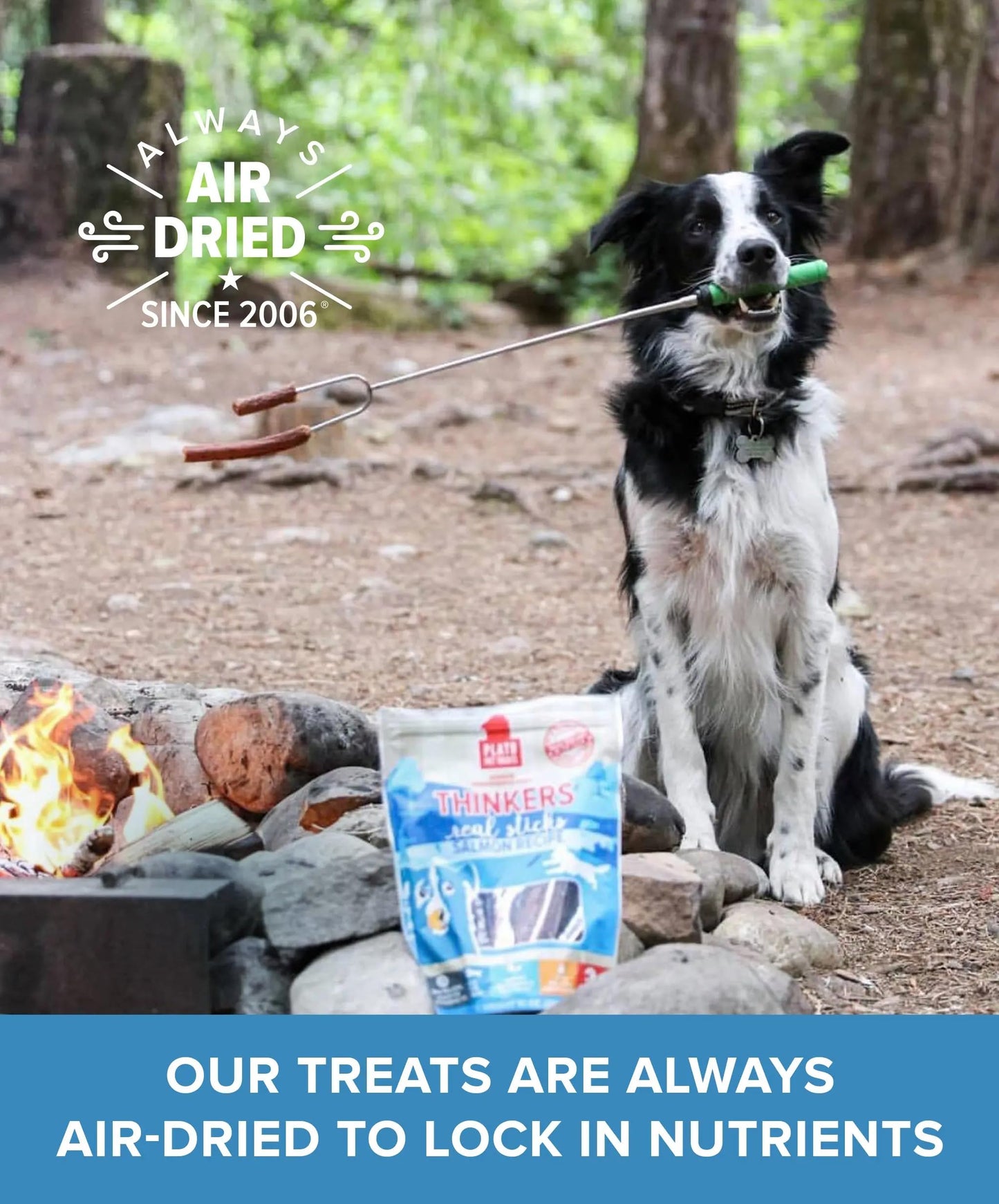 Plato Pet Treats Thinkers - Meat Stick Treats for Dogs - Limited Ingredient with EPA and DHA to Support Skin, Coat, and Brain - Air-Dried - Thinkers Salmon 10oz - 2 Pack