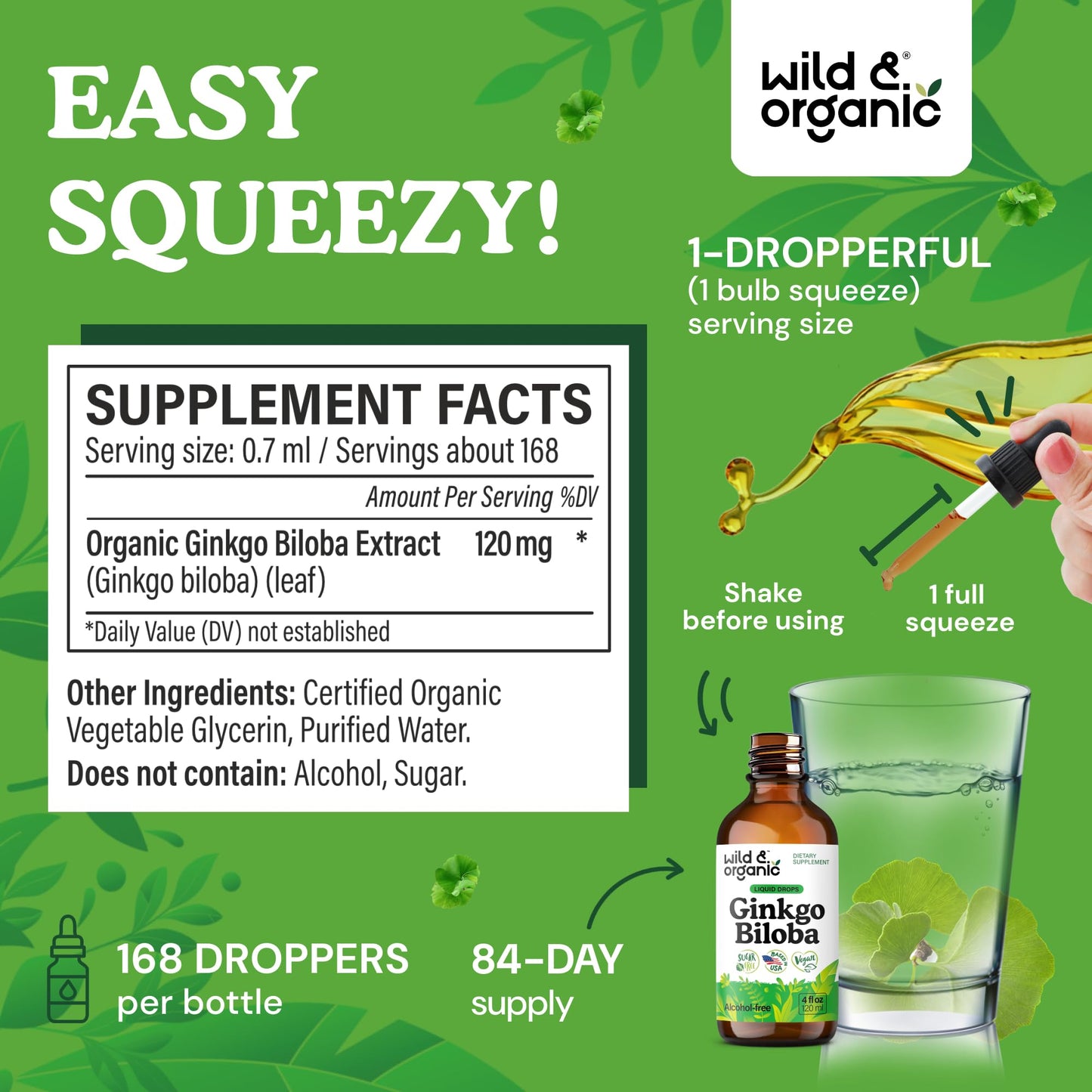 Wild & Organic Ginkgo Biloba Extract Drops - Brain & Focus Support - Liquid Ginkgo Biloba Supplements - Vegan, Sugar & Alcohol-Free Herbal Tincture - 4 fl oz
