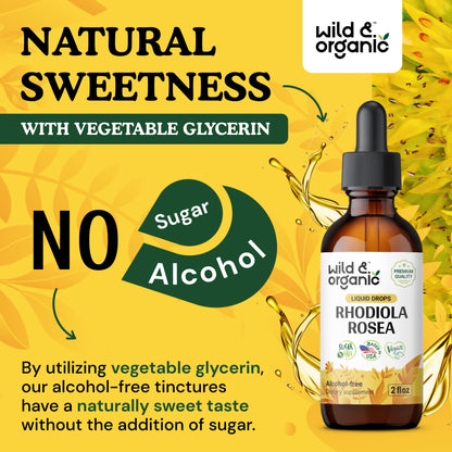 Wild & Organic Rhodiola Rosea Tincture - Rhodiola Rosea Supplement for Mood Support - Relaxing Root Extract Liquid Drops - Vegan, Sugar & Alcohol-Free - 4 fl oz