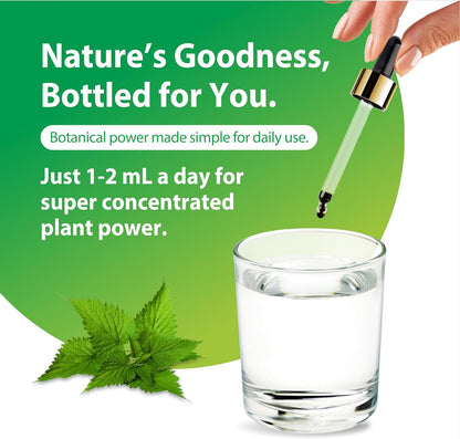 Rainbow Light Nettle Leaf Extract | 2 Fl Oz | Super Concentrated | Alcohol Free | Non-GMO and Gluten Free Herbal Supplement