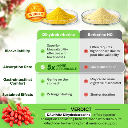 Dihydroberberine 250mg | GlucoVantage 30 days Supply | DHB supplement