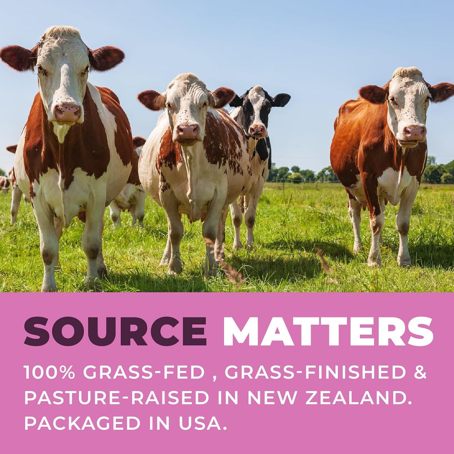 Left Coast Performance Beef Organ Supplements from New Zealand - Supports Women's Overall Energy & Health - Non-GMO, No Fillers, Hormone & Antibiotic Free
