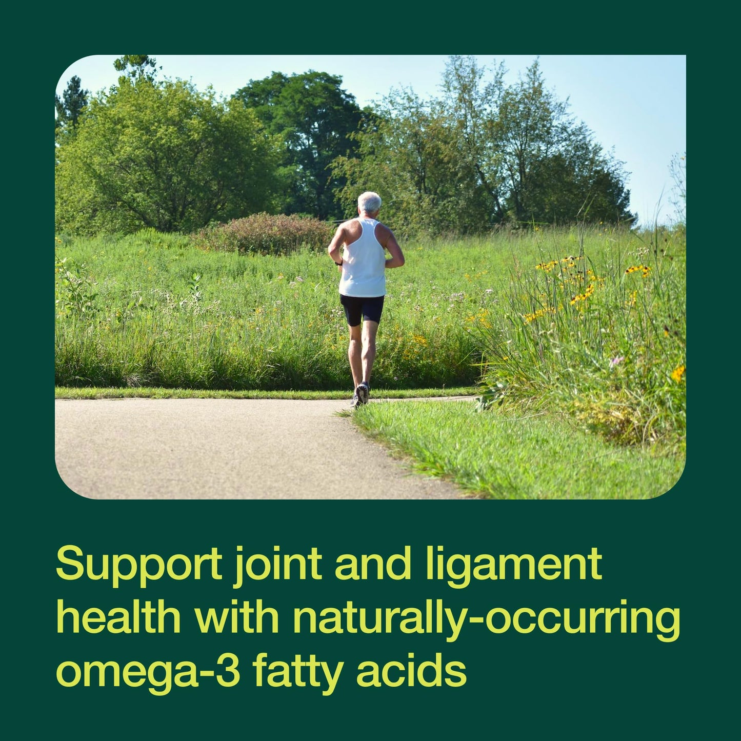 Green Lipped Mussel Capsules - Strongest DNA Verified from New Zealand - Perna Canaliculus Omega Supplement - May Promote Healthy Joints - 90 Capsules