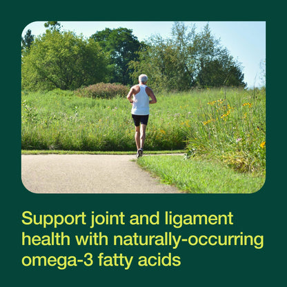 Green Lipped Mussel Capsules - Strongest DNA Verified from New Zealand - Perna Canaliculus Omega Supplement - May Promote Healthy Joints - 90 Capsules