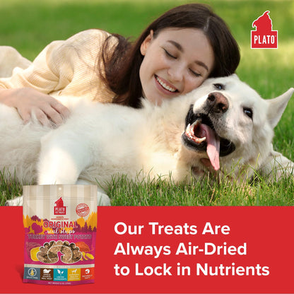 Plato Real Strips Salmon Recipe Dog Treats, Air-Dried High-Protein Soft Strips, Omega-Rich Skin & Coat Support, 18 oz