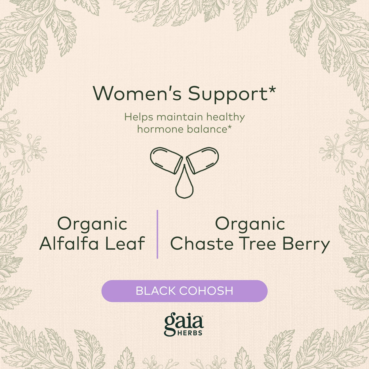 Gaia Herbs Menopause Support Daytime - Helps Maintain Hormone Balance and Well