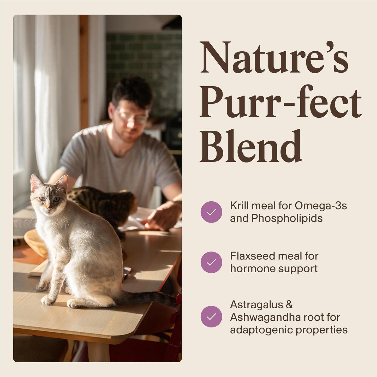 Real Mushrooms Cat Supplement Powder – Organic Mushroom Blend with Antarctic Krill & Ashwagandha – Cat Vitamins for Older Cats or Kittens – 2.65 oz Functional Feline Formula